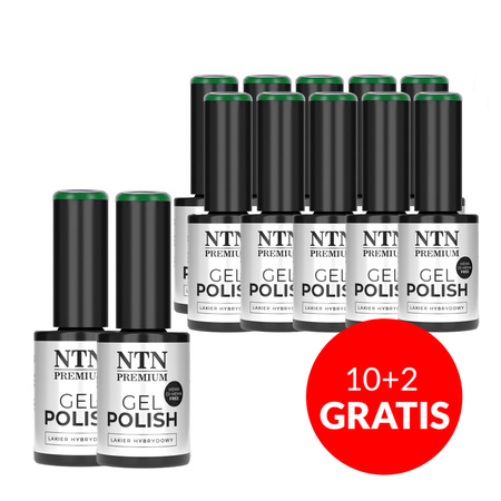 10+2 gratis Smalto ibrido Ntn Premium Neomagic senza HEMA/Di-HEMA 5 g n. 275