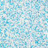 Adorno para uñas Snow Dream n.º 8, 5 g