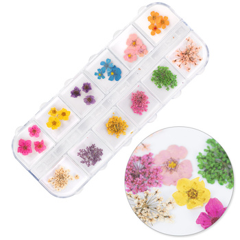 Dried flowers for nail art in a Molly Nails box, type B, 36 pcs.