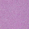 Nagelglitter Nr. 76, 20 g