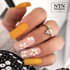 Syreni Pył nail powder Allepaznokcie jar 2.5 g No. 2