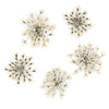 Dried flowers for nail art MollyLac White 5 pcs