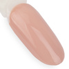 10+2 безкоштовно Гібридний лак LED/UV Gel Polish NTN Premium Day Dreaming Collection № 60 без HEMA/Di-HEMA 5 г