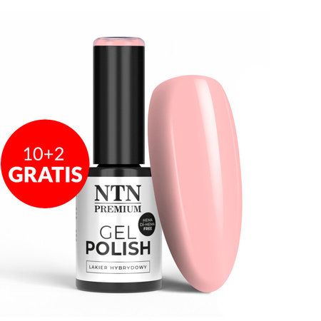 10 + 2 gratis: NTN Premium Soft Touch Collection HEMA/Di-HEMA-freier Hybridlack, 5 g, Nr. 02
