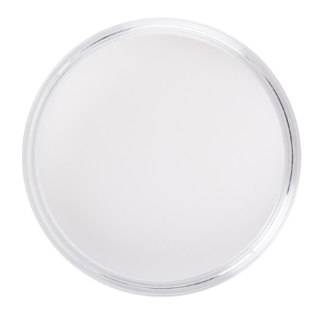 Акриловий пудер для нігтів MollyLac Acrylic Powder Bright White 120 г