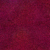 Purpurina para uñas n.º 65, 20 g