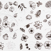 Трансферна плівка для нігтів 80 см Flower white № 1