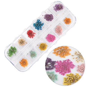 Suszone kwiaty do zdobień paznokci w kasetce MollyNails rodzaj A 24szt