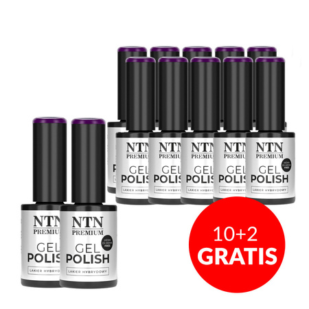 10+2 free NTN Premium Viral Colors HEMA/Di-HEMA Free Hybrid Nail Polish 5g No. 294