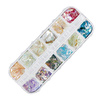 Conchiglie tritate per decorare le unghie in astuccio n. 4