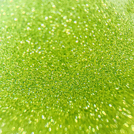 Molly Nails Flashing Lights Neon Evergreen HEMA/Di-HEMA Free Hybrid Nail Polish 8g No. 647